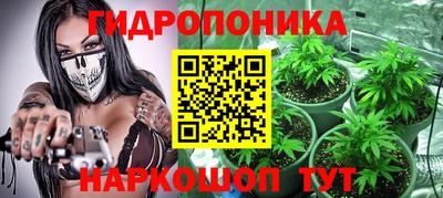 стафф Краснознаменск