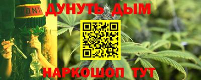 стафф Краснознаменск